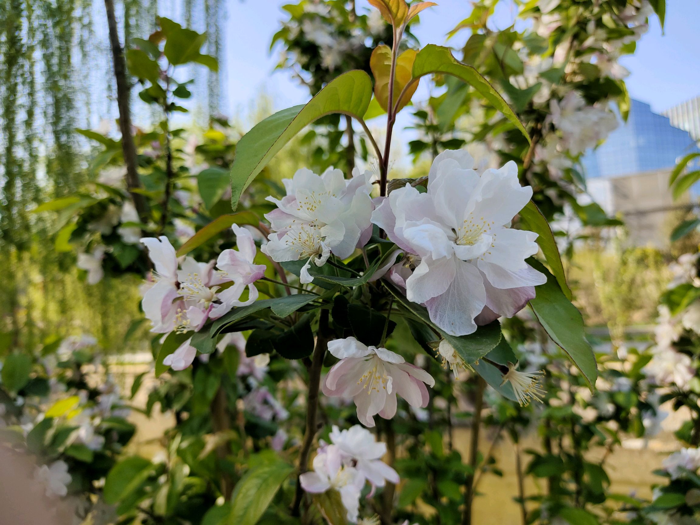春暖花开论坛，探索知识与交流的平台-第2张图片