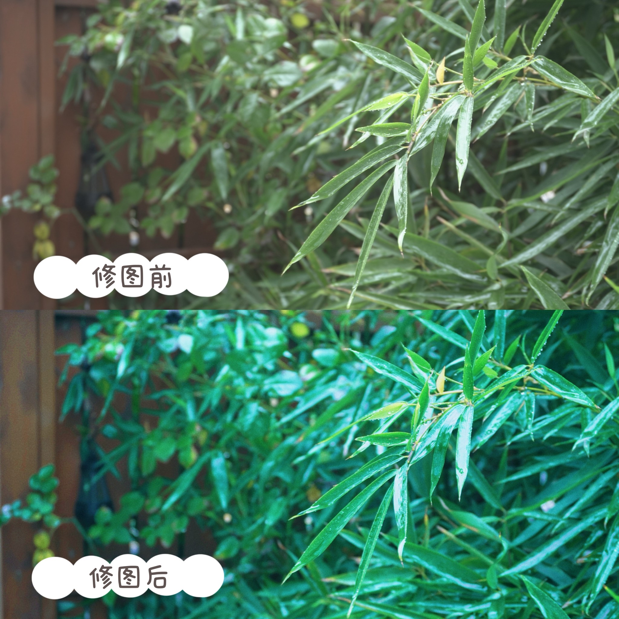 怎么摸小花园的技巧和方法如何摸小花园，技巧与方法