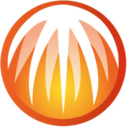 天天bt，探索BT下载的神秘世界