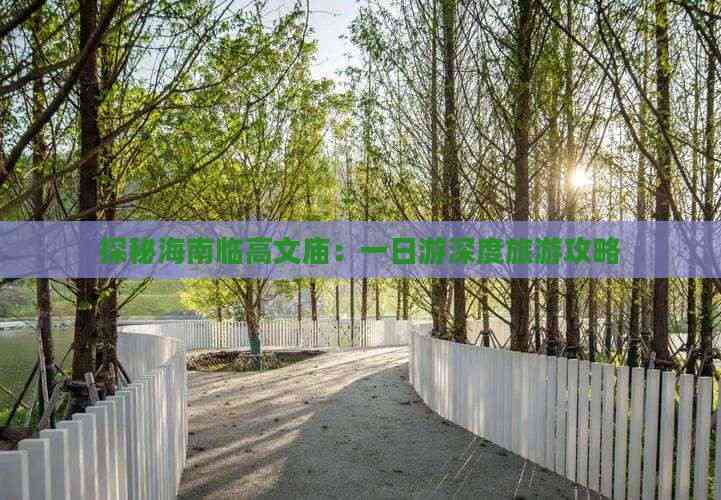 海南省临高县海南省临高县旅游攻略-第1张图片