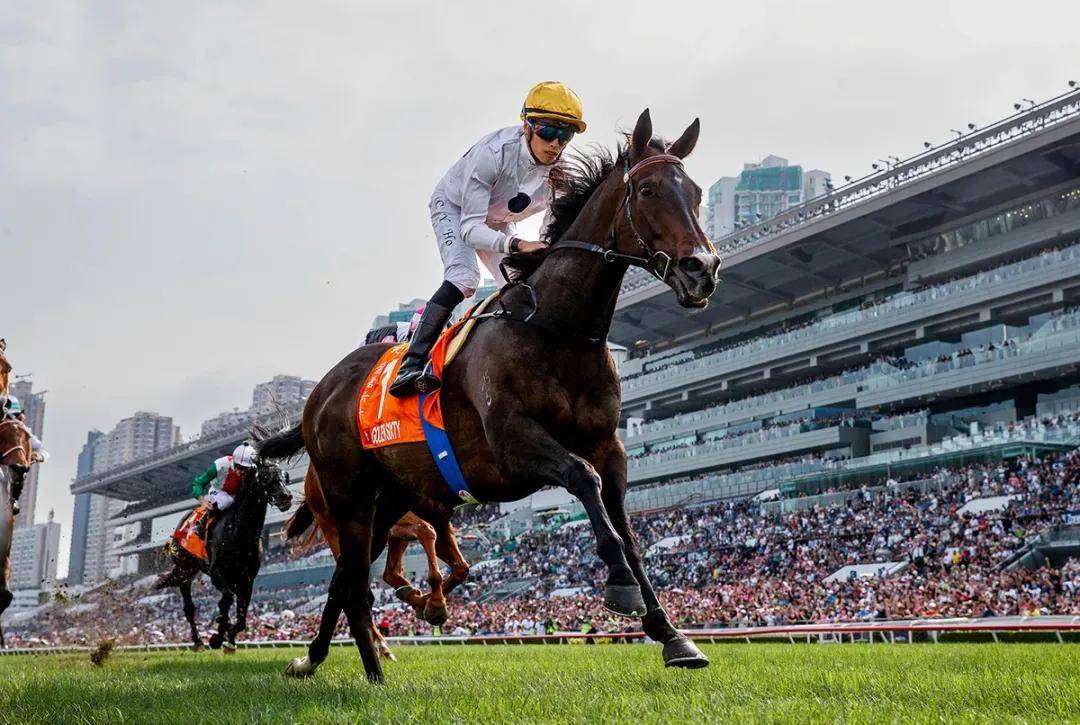 香港马会2019资料大全香港马会2019资料大全