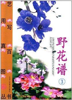 野花日本中文免费完整版4-第3张图片