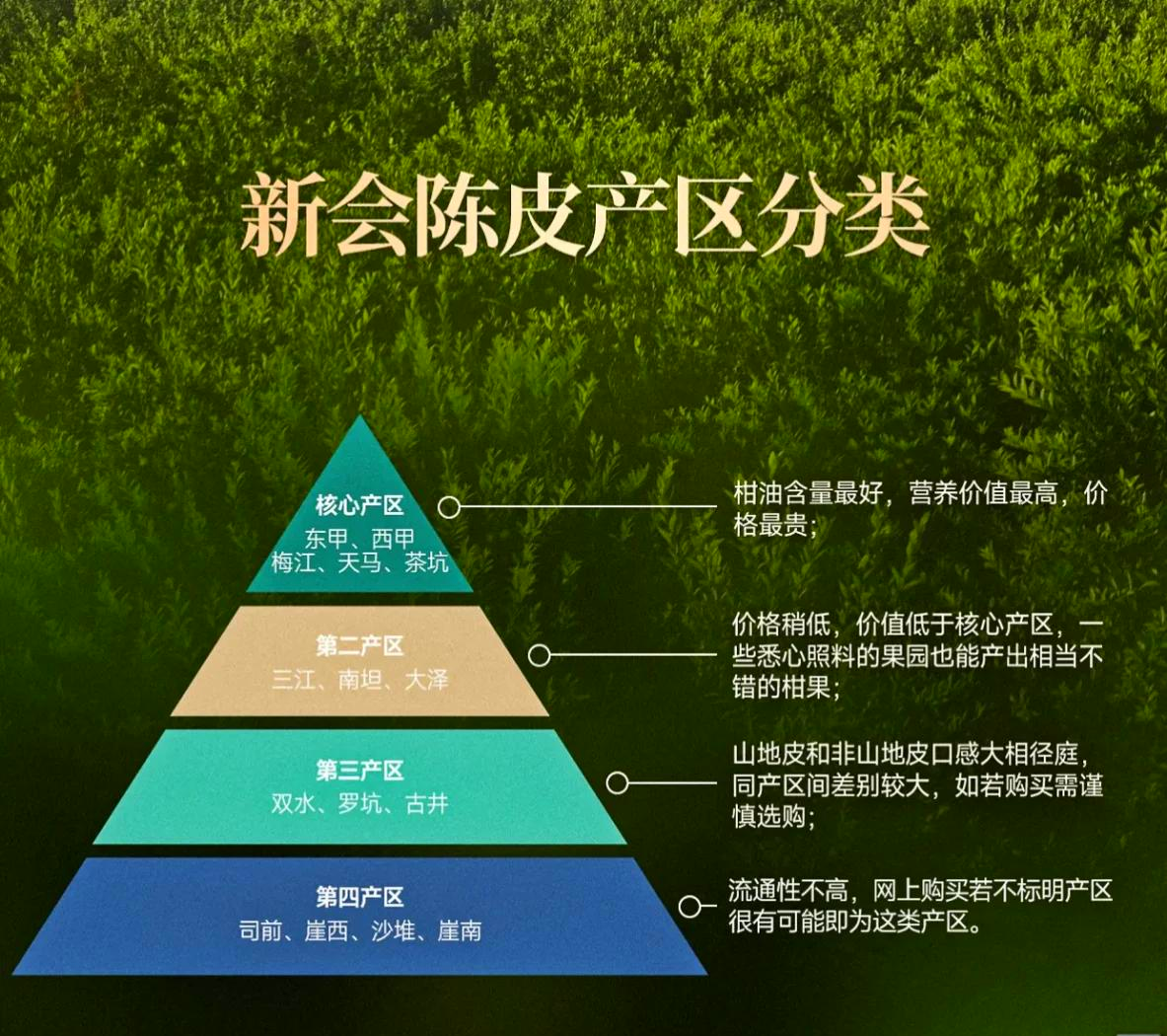 亚洲一线产区与二线产区分布图片