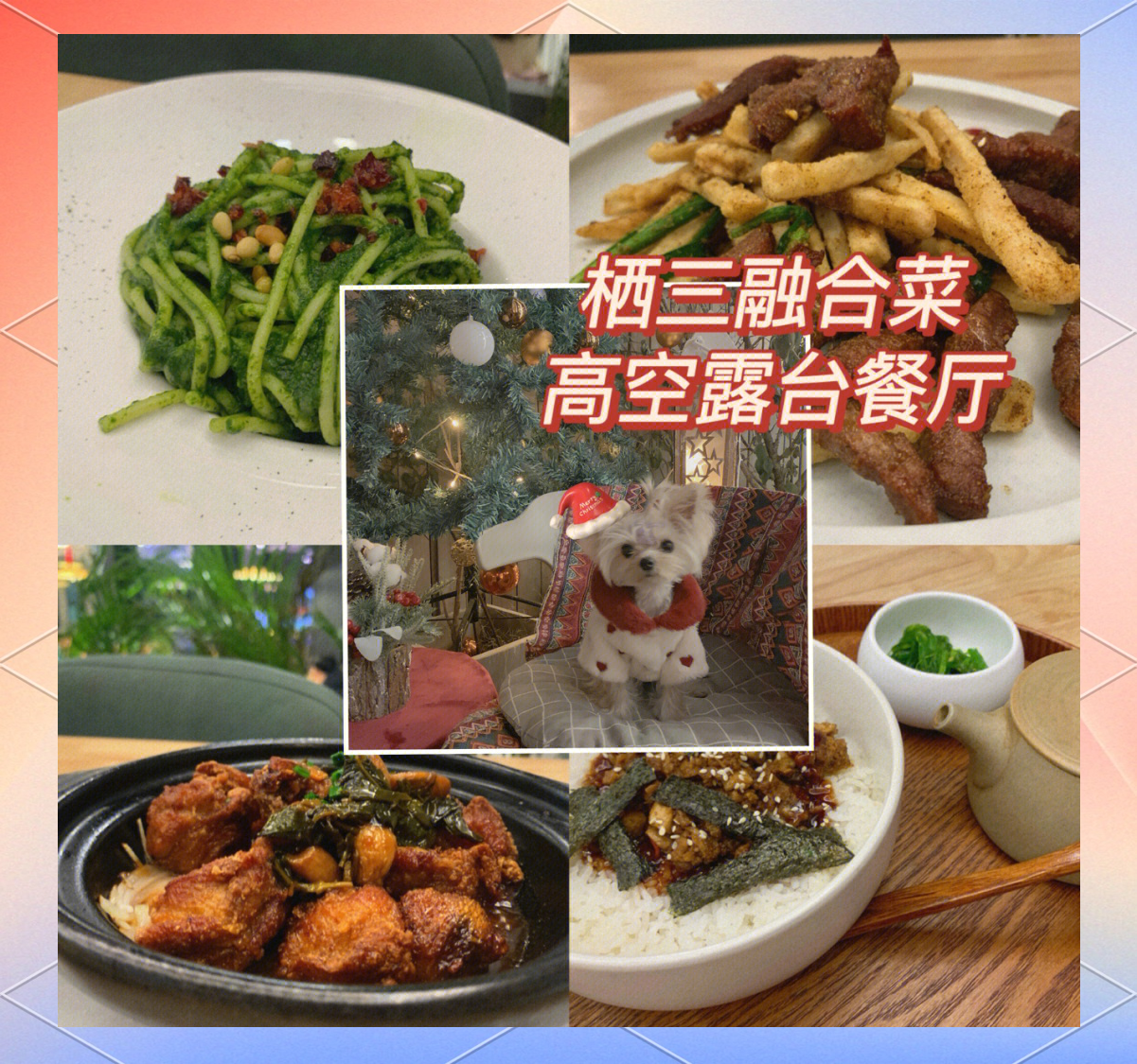 番茄黄瓜丝瓜草莓秋葵美食之旅-第2张图片