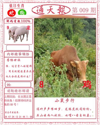 2023澳门资料大全正版资料免费106期2023澳门资料大全正版资料免费版