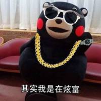 土豪网土豪网，炫富新天地-第3张图片