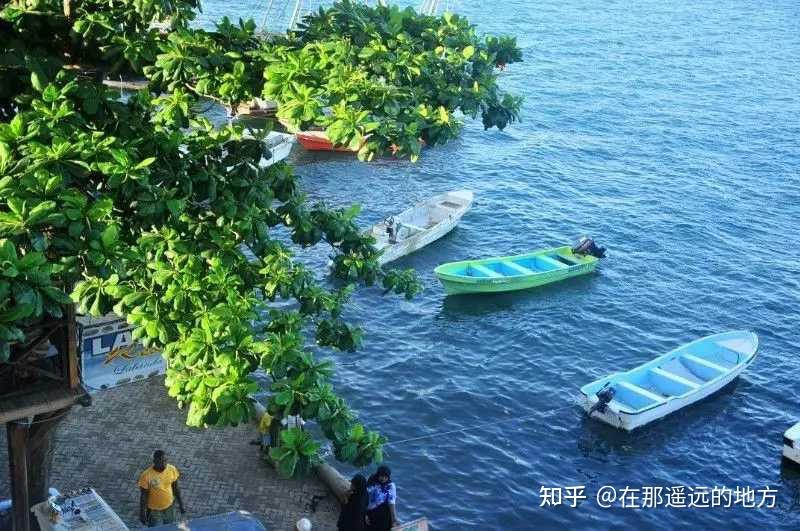 六会彩生肖开奖结果查询最新六会彩生肖开奖结果揭晓-第1张图片