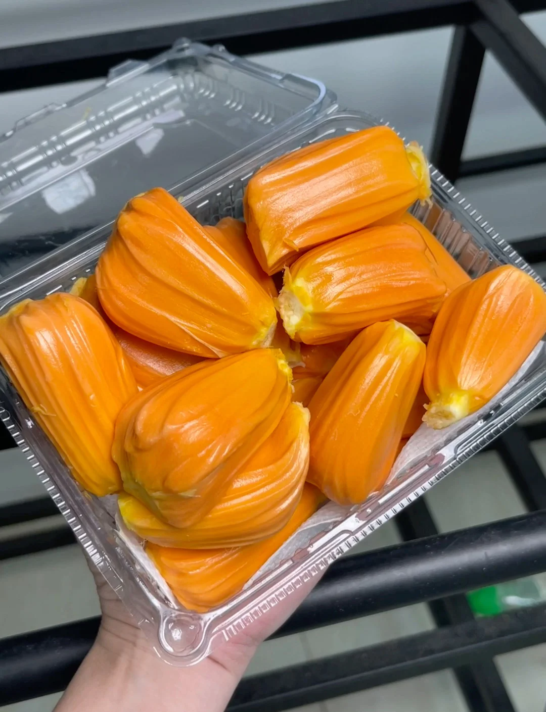 菠萝蜜一二线产区菠萝蜜一二线产区概述