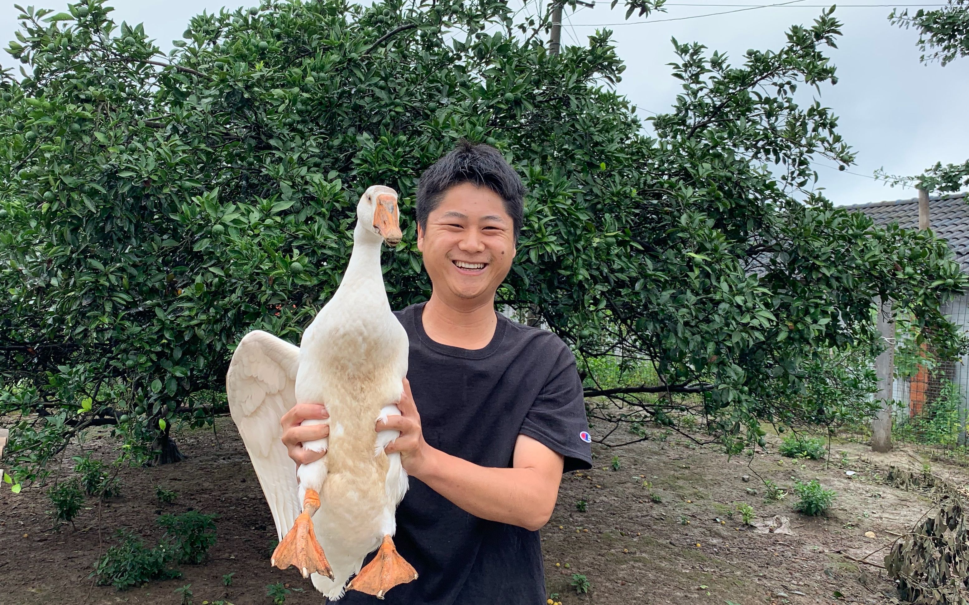 岳的大白屁股光溜溜岳的大白屁股光溜溜-第2张图片