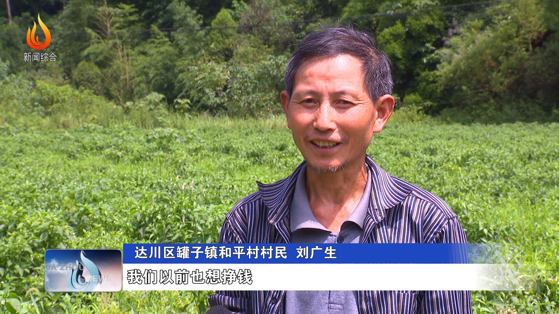 四川达州做什么赚钱四川达州做什么赚钱？-第1张图片
