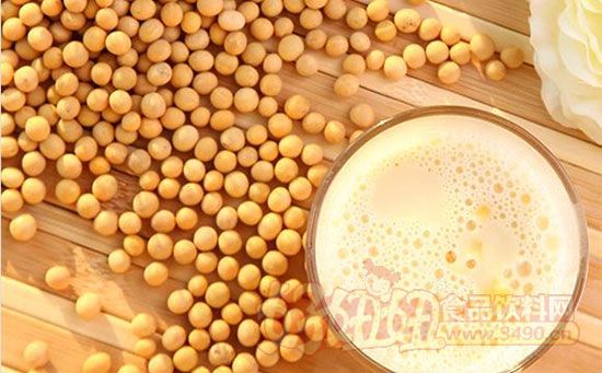豆奶app4.0下载豆奶APP 4.0，便捷生活的全新体验-第3张图片