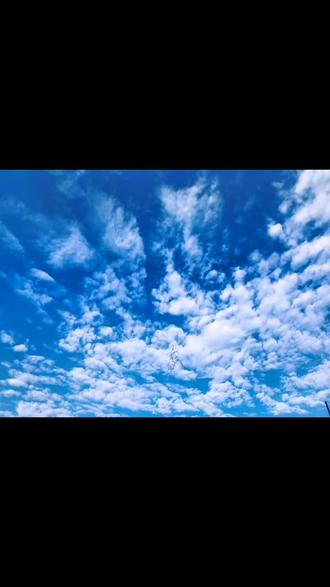 一路狂奔下载一路狂奔下载，极速体验新应用-第1张图片