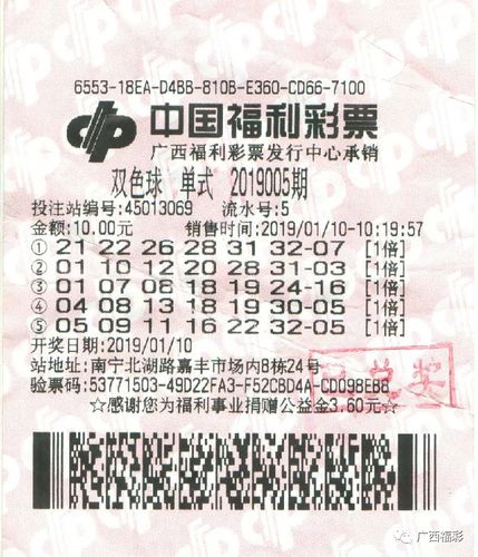 彩票至尊网，探索彩票新世界