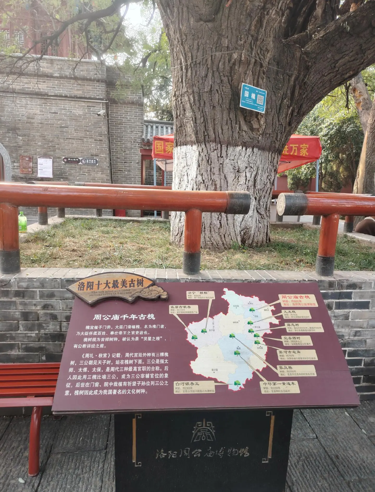 洛阳扶摇，千年古都的辉煌篇章-第3张图片