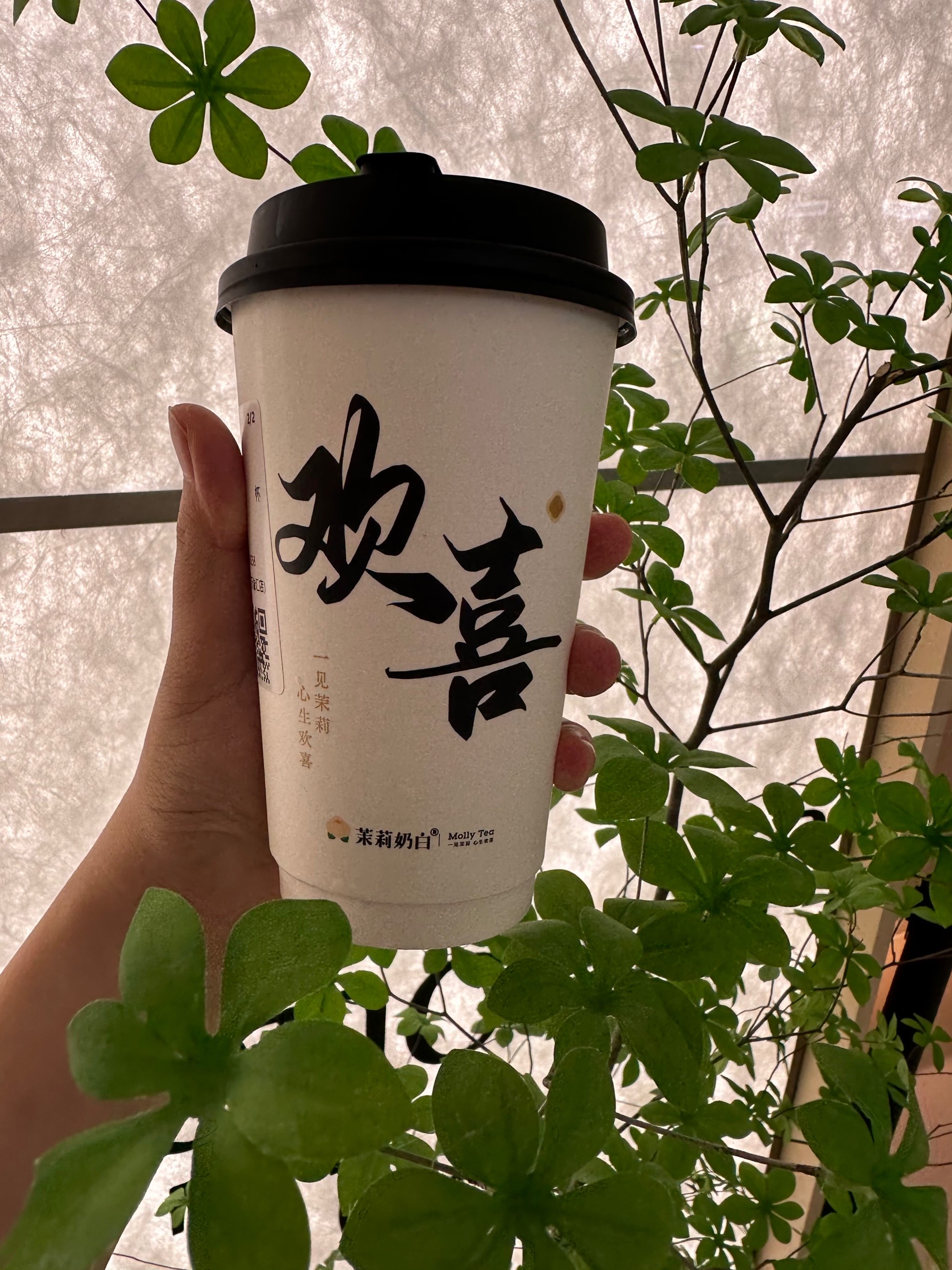 冰度娱乐，引领娱乐新风潮