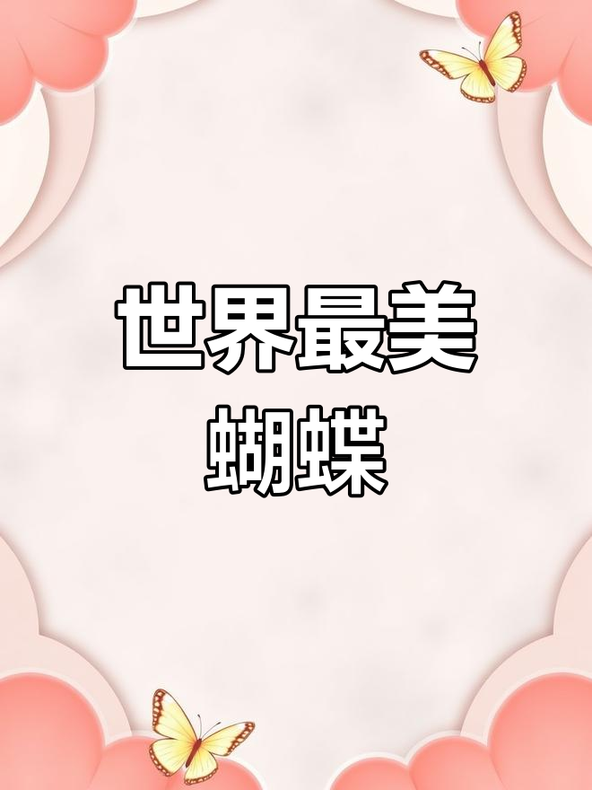蝴蝶网论坛资料蝴蝶网论坛，探索网络世界的蝴蝶之窗-第1张图片