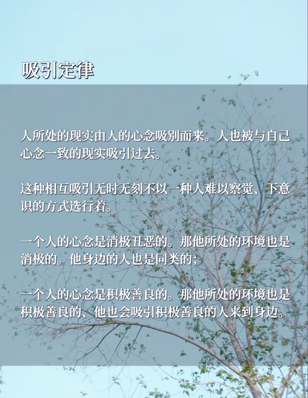 灵值灵值，探寻内心的力量与价值