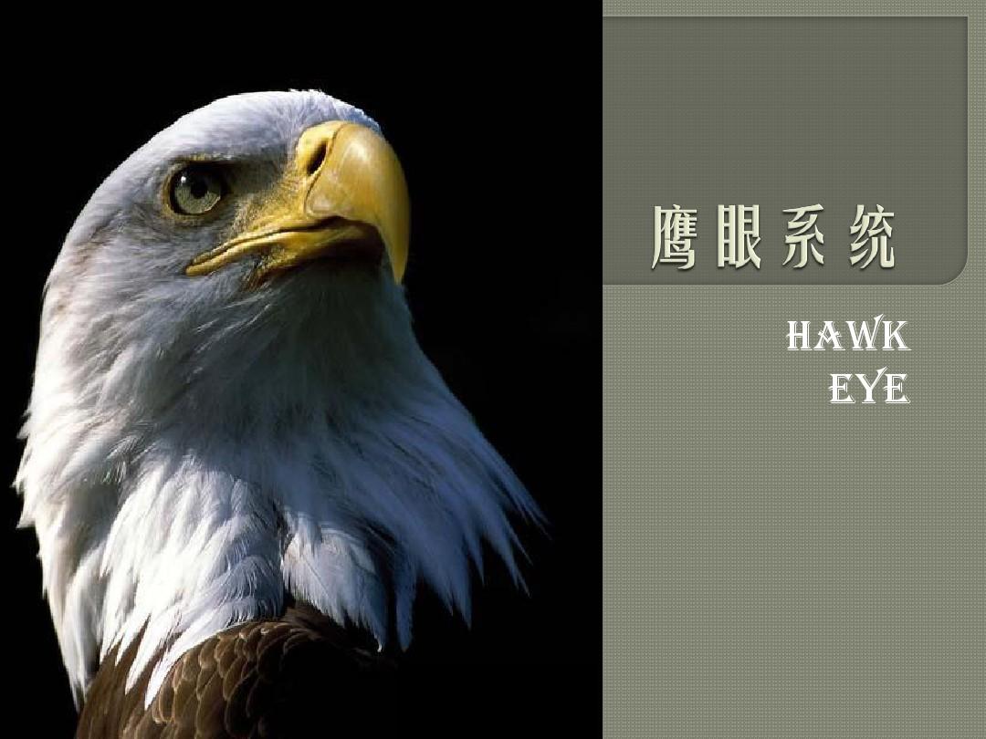 鹰眼检测仪全身扫描系统鹰眼，洞察世界的神秘视觉-第1张图片