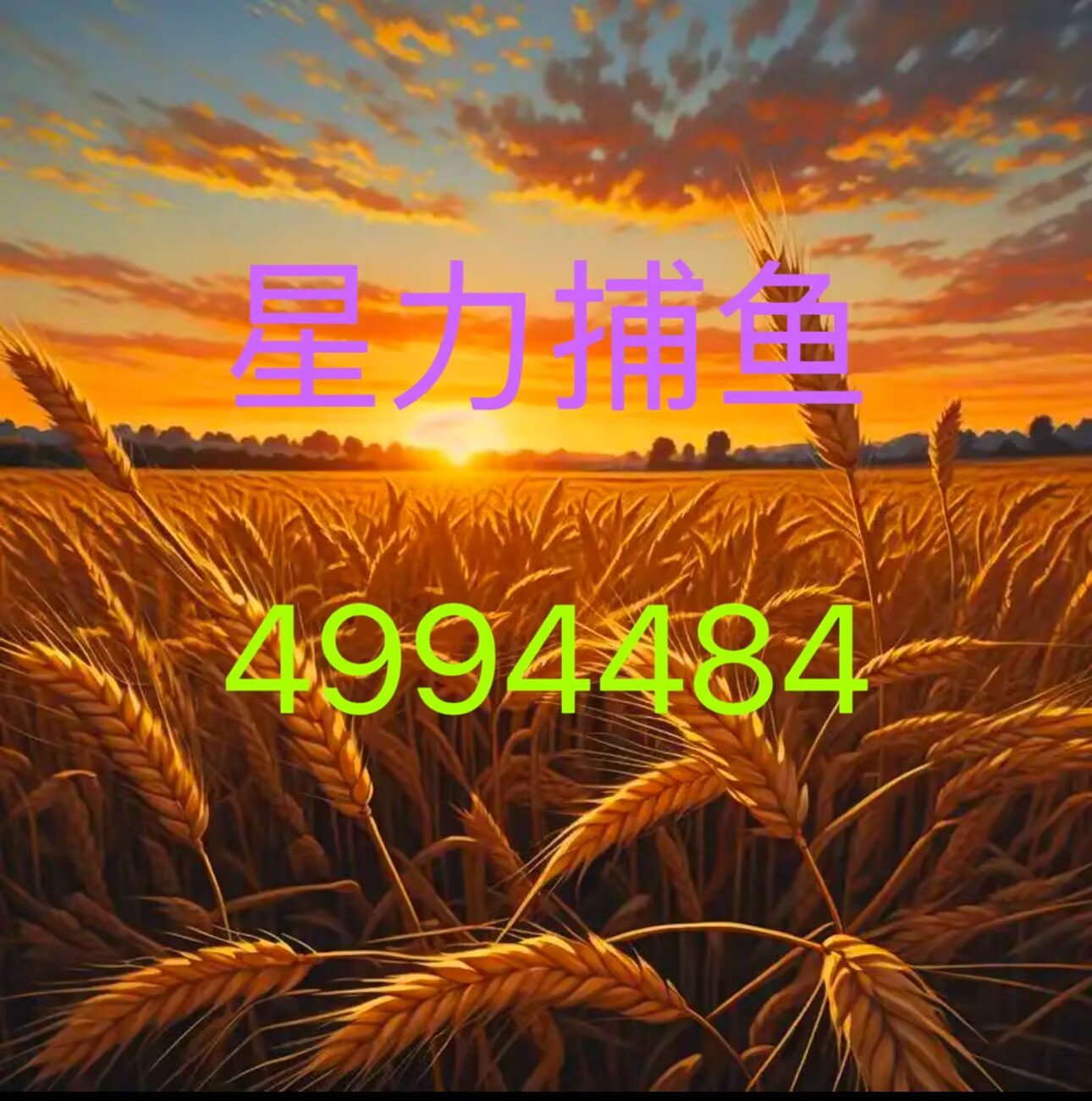 星力手机捕鱼星力手机捕鱼，探索手机游戏的新篇章-第2张图片