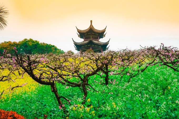 桃花视频免费观看完桃花在线观看免费视频，探索美好时光-第1张图片