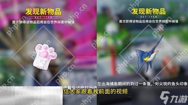 929666激活码免费获取攻略