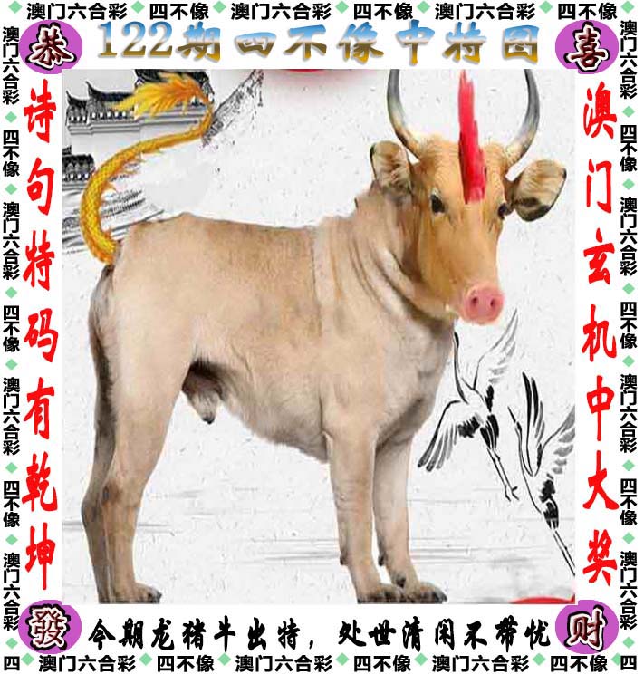 6合开奖结果记录揭秘6合开奖结果-第1张图片