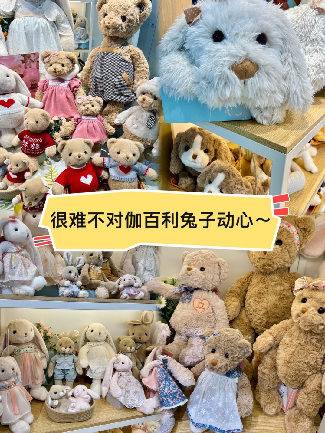 我的兔子好软水好多H15视频下载我的兔子好软绵绵-第1张图片