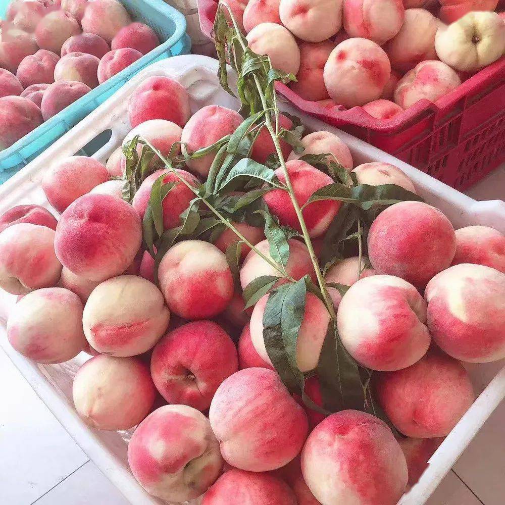 水蜜桃精品一二三四入口水蜜桃精品一二三-第1张图片