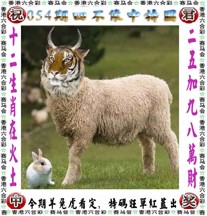 2023年澳门开奖结果记录2023年澳门开奖结果记录