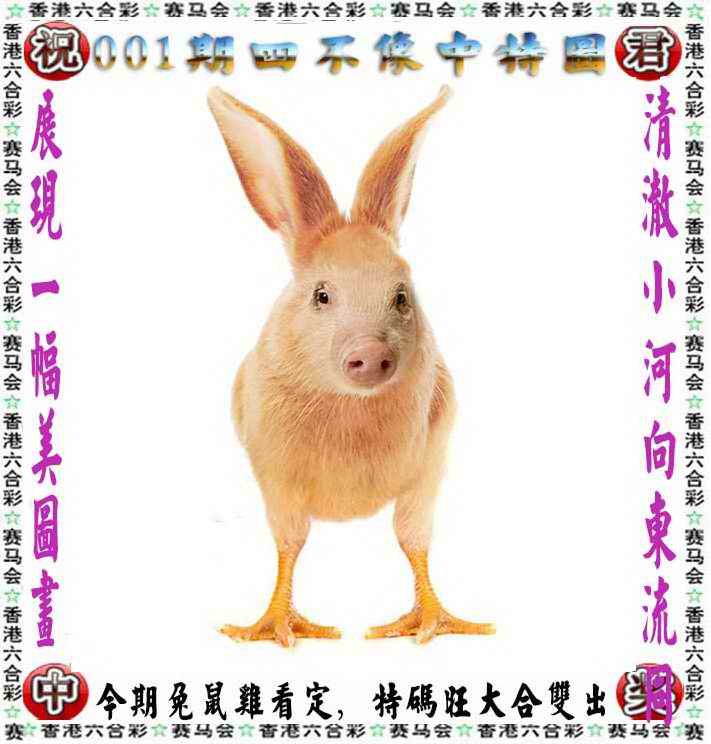 天下彩944CC免费资料大揭秘