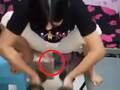 美女把尿口扒开灌牛奶的视频美女把尿口扒开灌牛奶-第1张图片