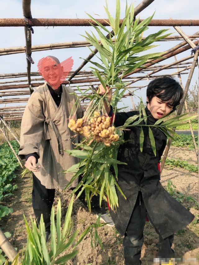 在床上拔萝卜又疼，又称为床上拔筋