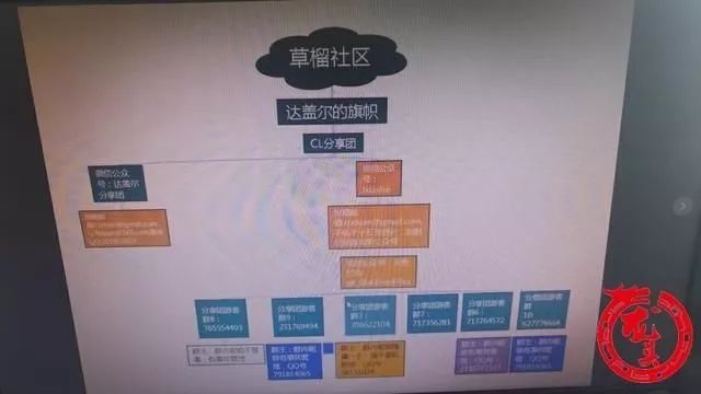 草榴空间草榴空间，探索自然与人文的和谐共生-第2张图片