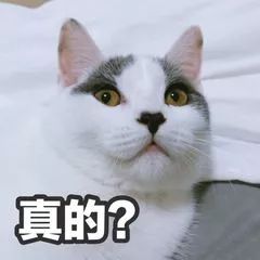 色成人论坛，探索其中的诱惑与风险