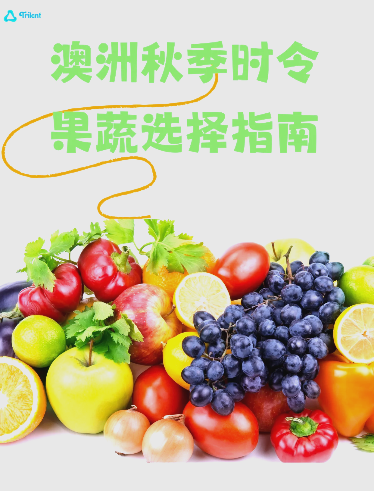 蔬果类食物轻易蔬果，轻松享受新鲜果蔬-第1张图片