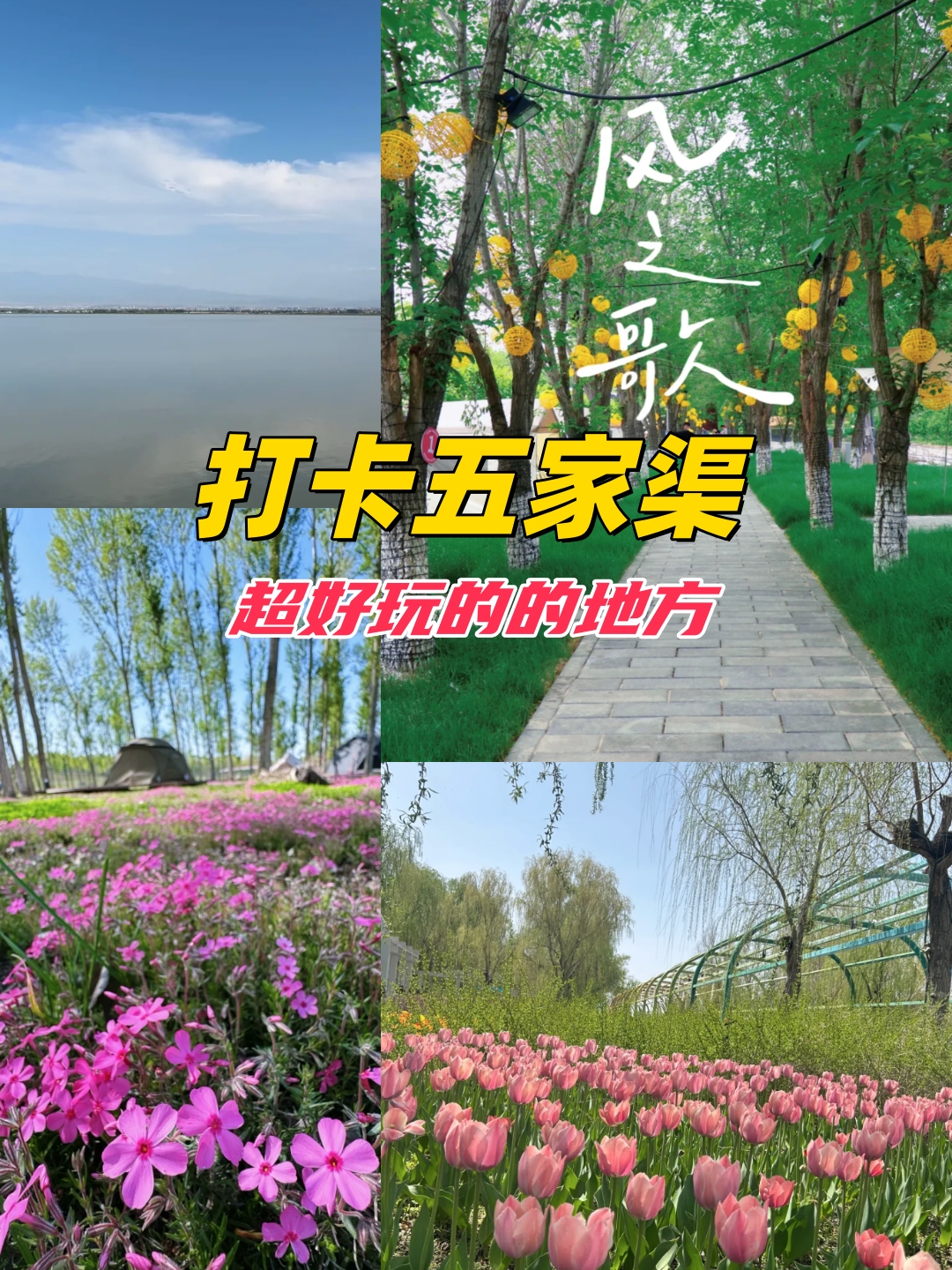 新疆五家渠，多元文化与美丽风景的融合-第1张图片