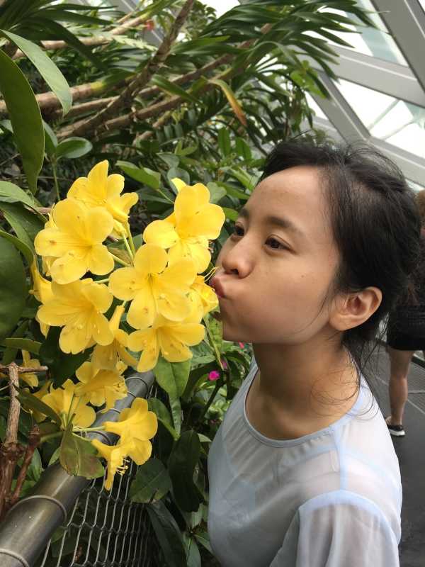 gogogo免费高清摄影技巧分享Gogogo高清视频如何开始-第1张图片