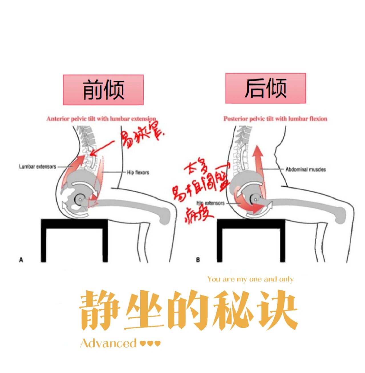 房中术十三图解秘的三大主要内容介绍房中术十三图解秘-第1张图片