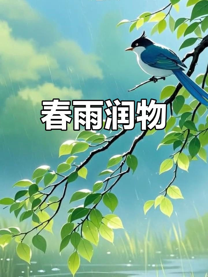 春雨app直播免费看春雨APP直播免费看，探索直播新体验-第1张图片