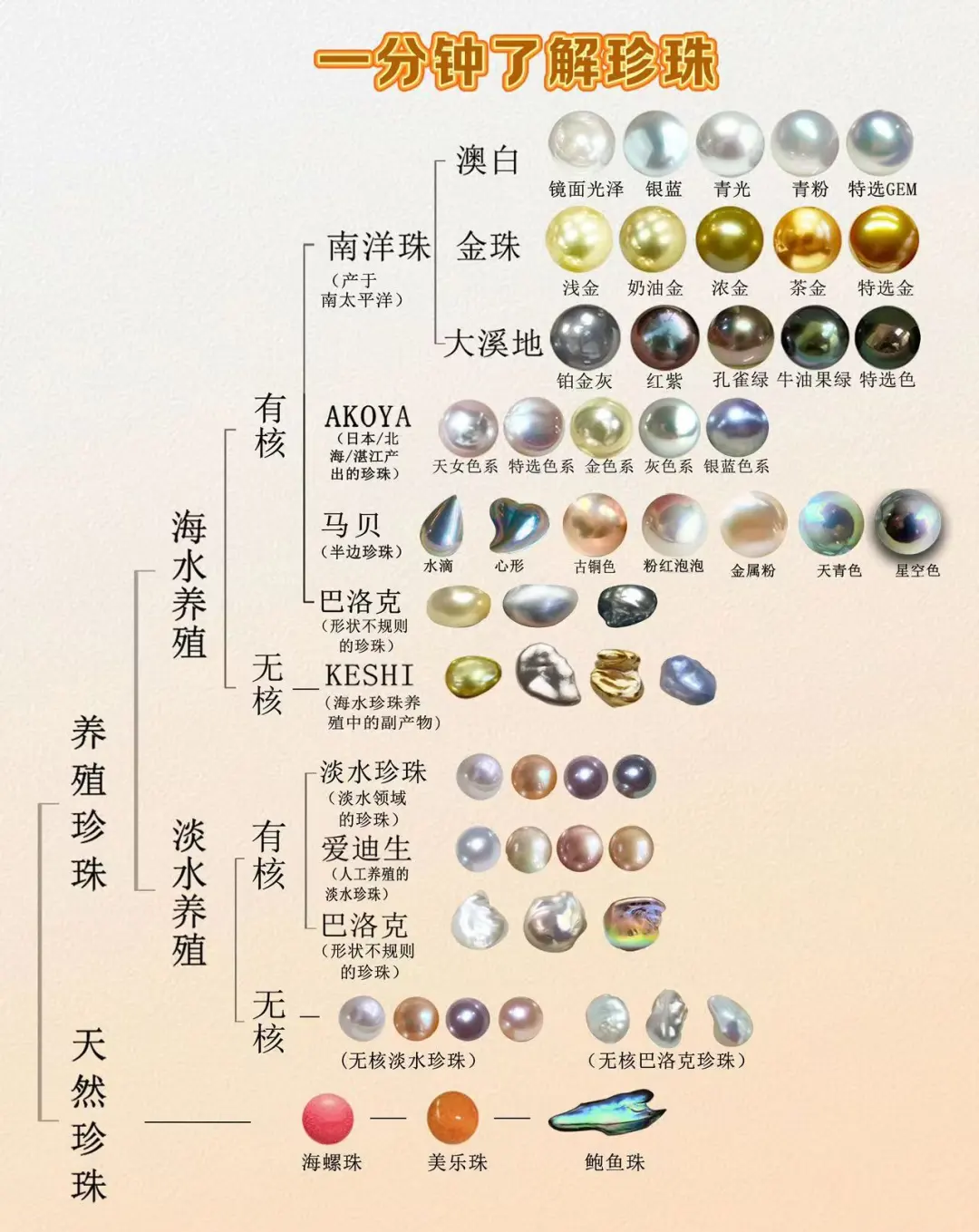 宠物小精灵珍珠攻略大全宠物小精灵珍珠攻略-第1张图片