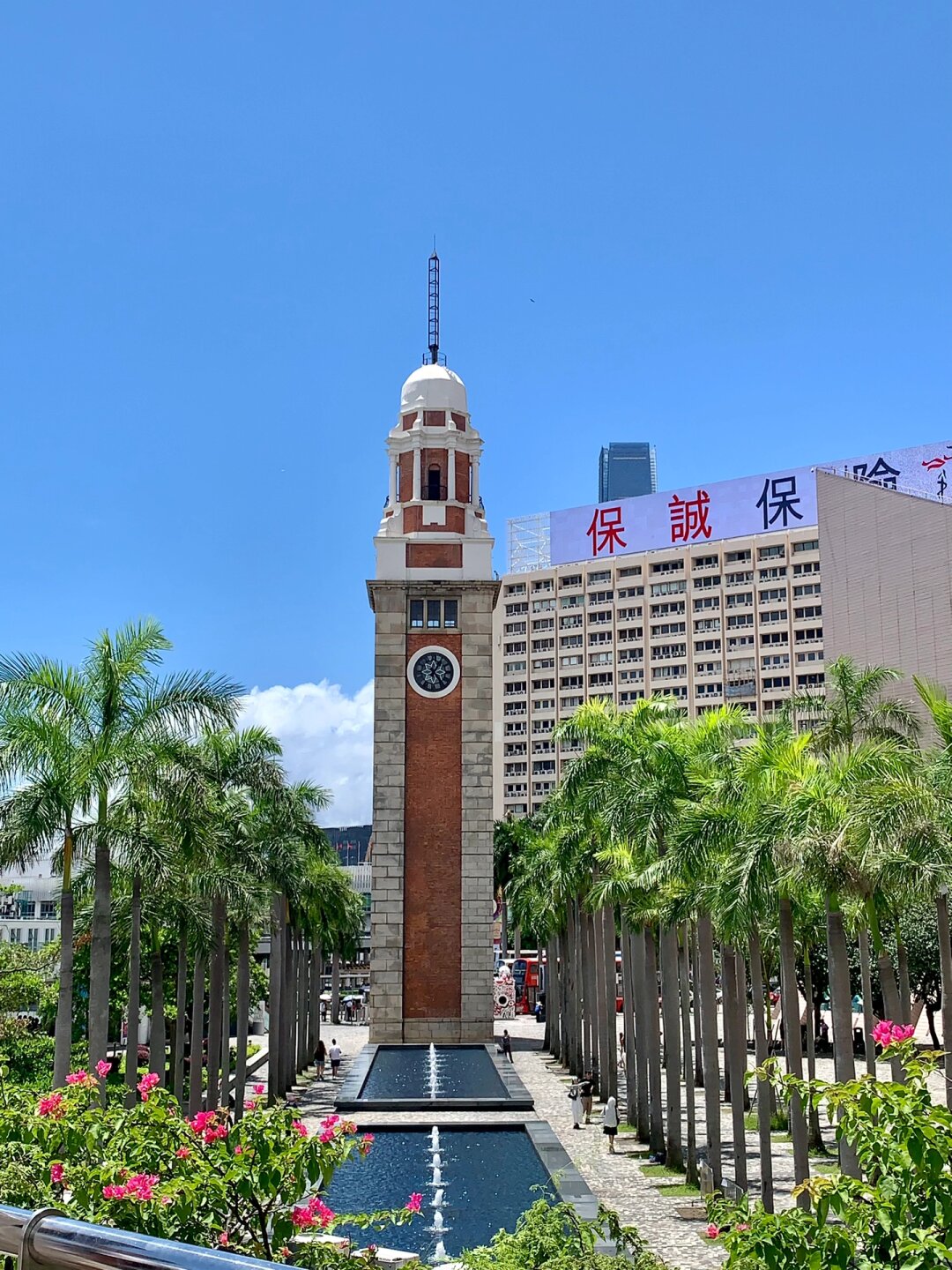 高效天堂在线最新版介绍-第1张图片