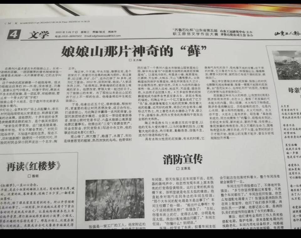 山东工人报电子版2025年2月16日山东工人报电子版，新闻传播的新篇章
