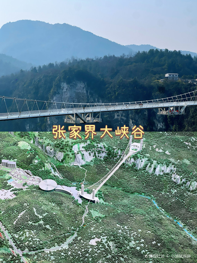上海至张家界旅游攻略-第1张图片