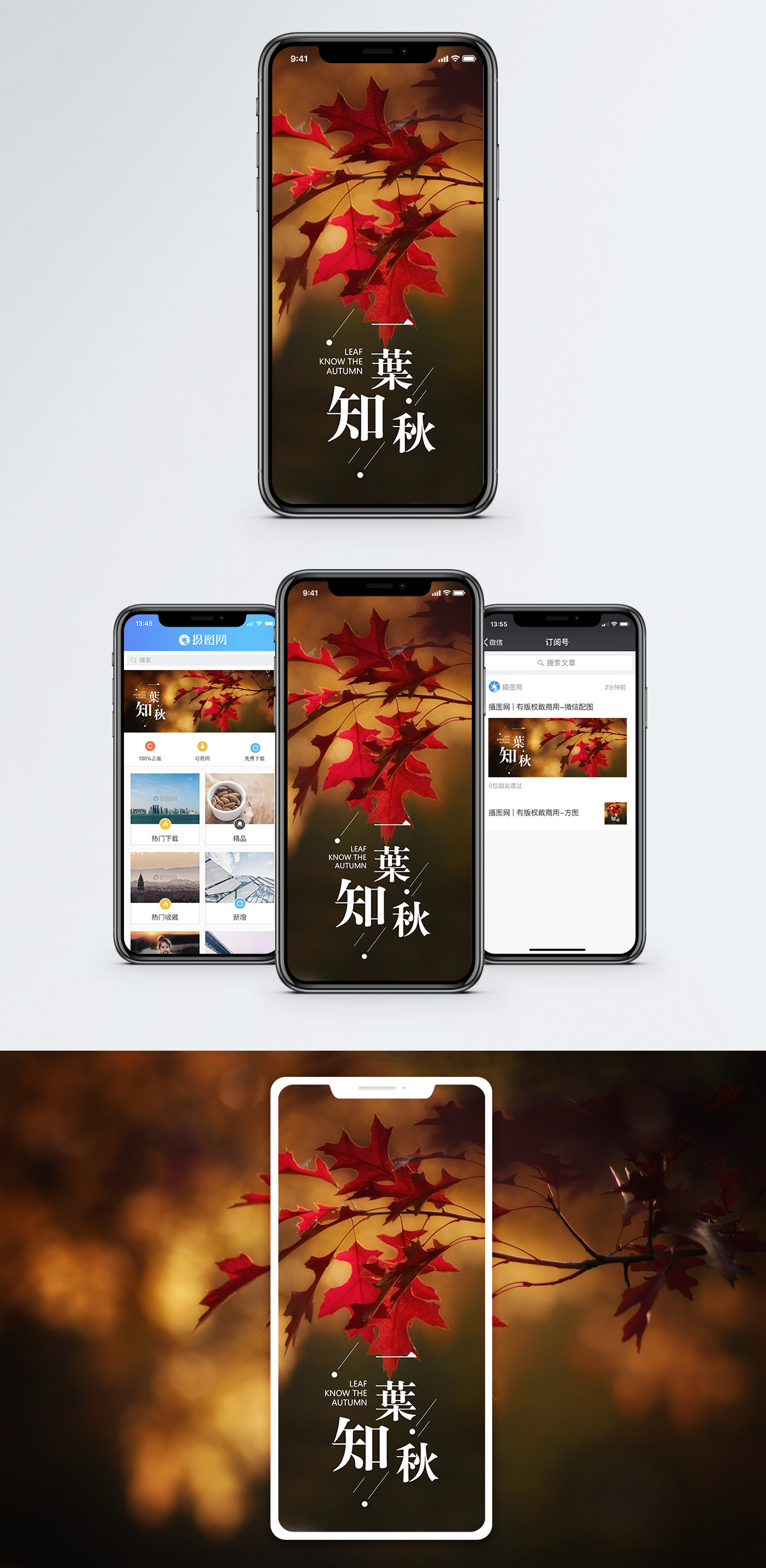 一叶知秋吉他谱一叶知秋吉他谱-第1张图片