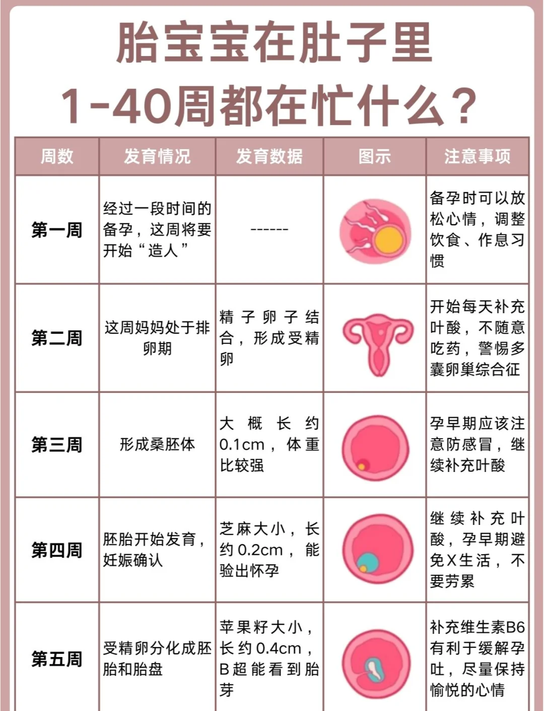 精产一二三产区别在哪精产一二三产的区别详解-第1张图片