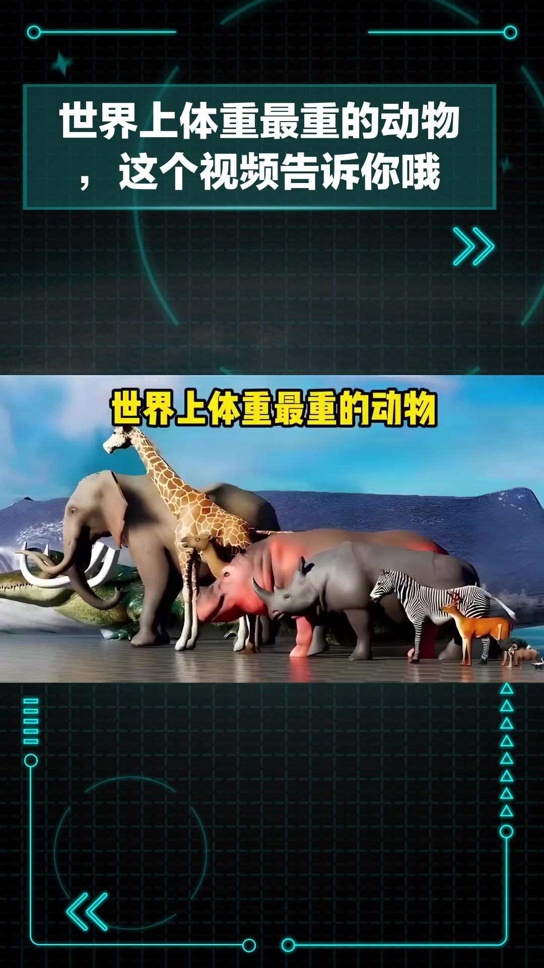 Zoom动物高清视频,被粗大jib捣出了白浆Zoom动物高清视频，探索神秘生物世界-第1张图片