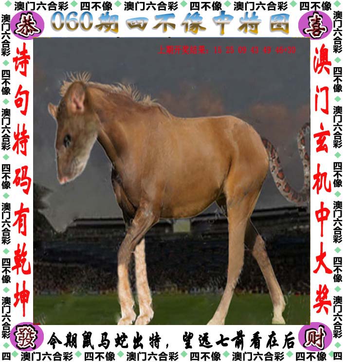 2024澳门特马今晚开奖53期结果2024澳门特马今晚开奖53期揭秘-第1张图片