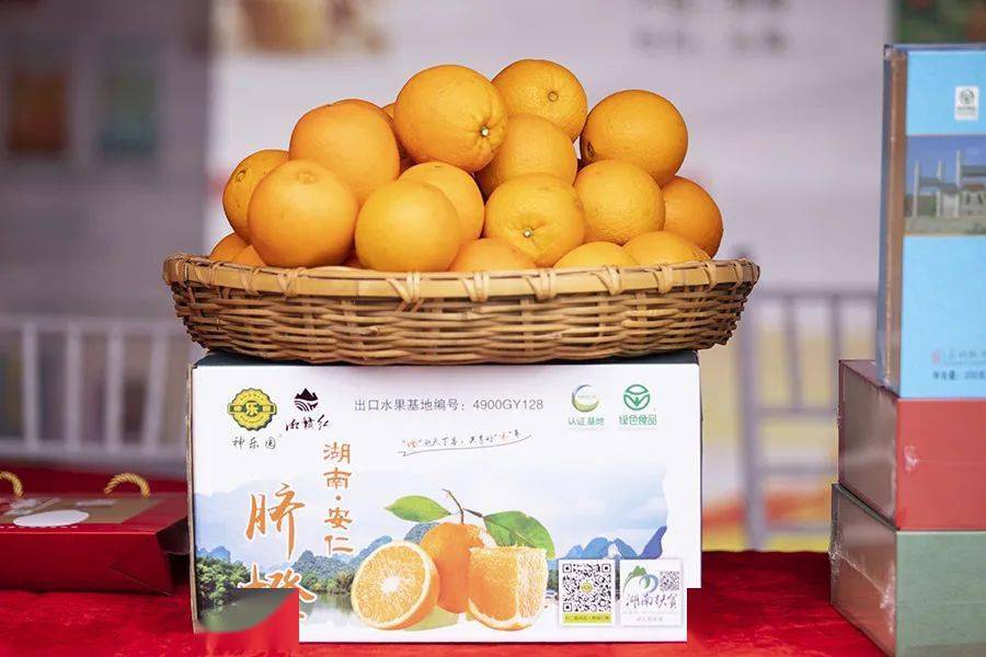 9精产国品一二三产区九精产国一二三产区概览-第1张图片