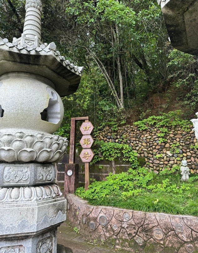 大金湖旅游攻略
