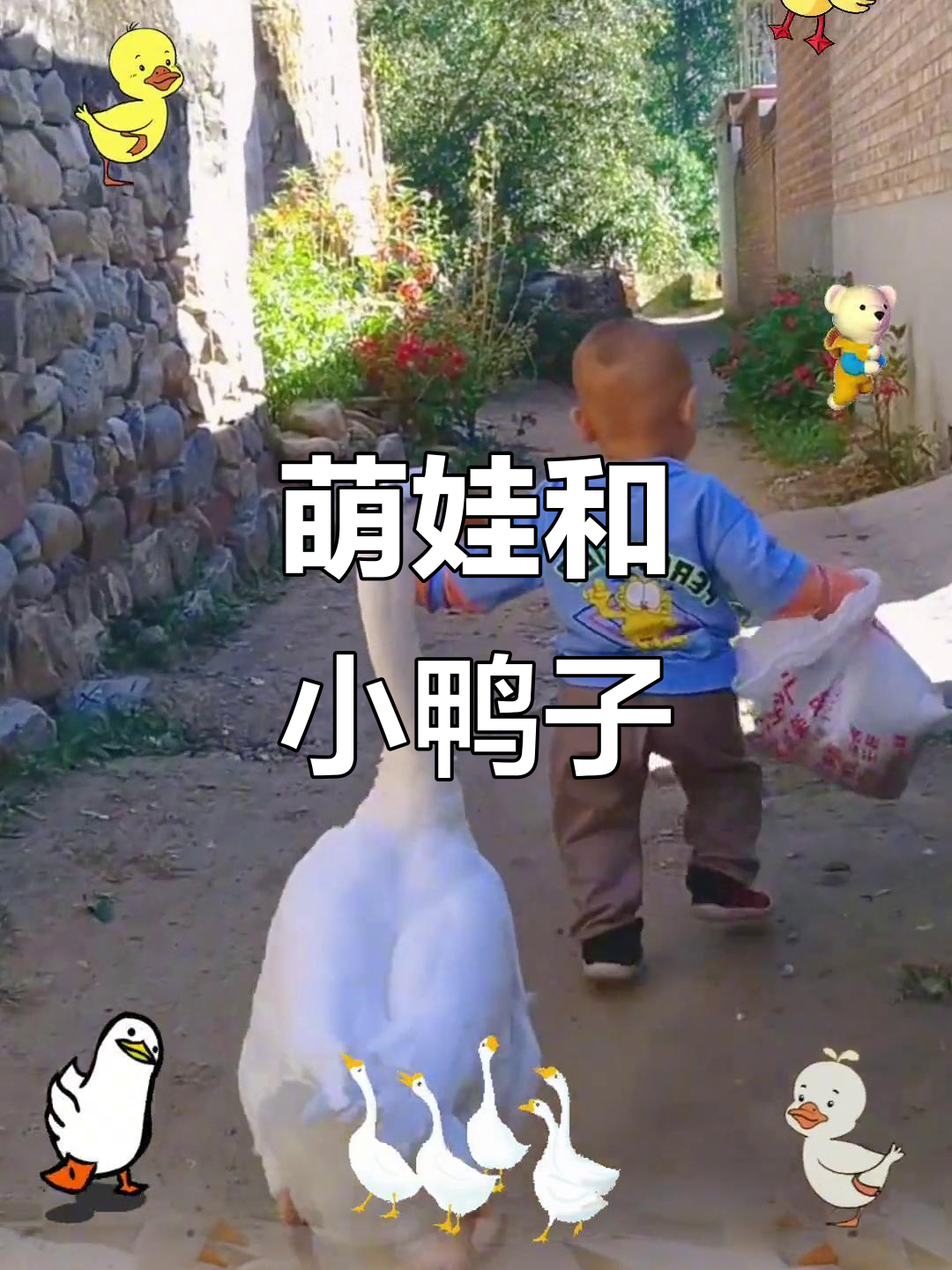 小鸭子在线视频免费观看中文，探索视频世界的乐趣-第1张图片